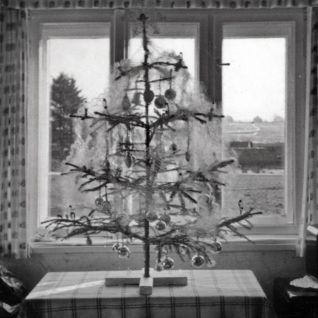 christbaumknogler1.jpg