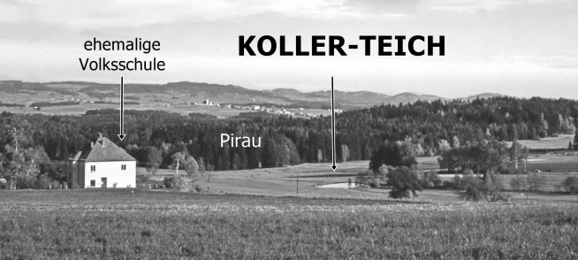 kollerteich2.jpg