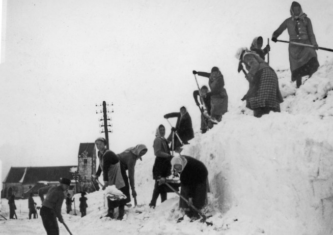 weidinger1.jpg